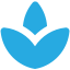 Mental Health Flower Icon